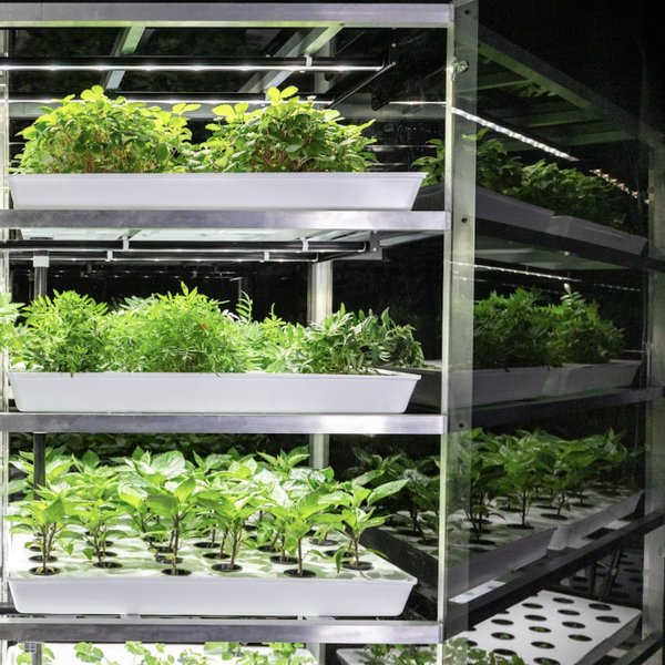 BABYLON MICRO-FARMS PARTNERS WITH HARVEST TABLE, PROVIDING FRESHER, HYPER-LOCAL FOOD OPTIONS TO TOP UNIVERSITIES ACROSS AMERICA