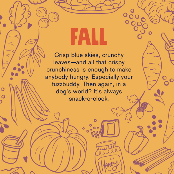 West Paw Launches The Toy of Cooking Recipe Book