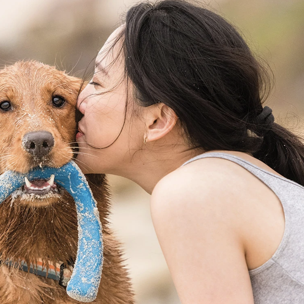 For Your Furry Valentine