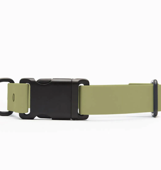 Signature Collar