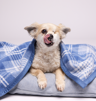 Blue Frost Plaid Blanket