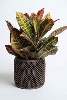 Vision Modern Indoor Planter