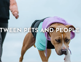 Best winter dog boots for your furry BFF