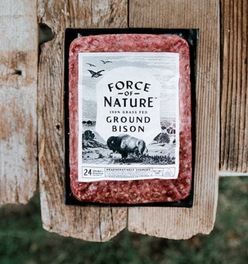 Regenerative Ground Bison