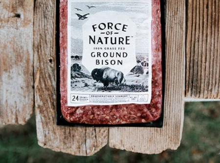 Regenerative Ground Bison