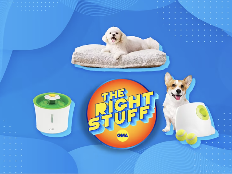 In the news: Good Morning America celebrates Saatva’s Pet Bed nationwide
