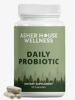Daily Probiotic | Digest + Defense