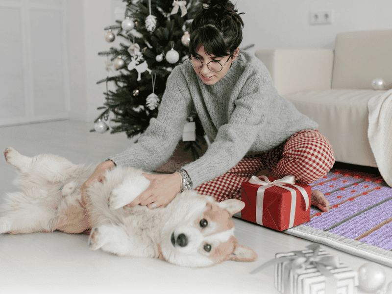 As the New Year Approaches, Wellness Trends From 2025 Shape a Recovery-Focused Outlook for 2026