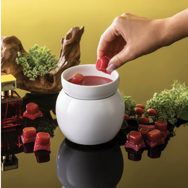 Screenshot 2026-02-20 at 5.22.23PM.png