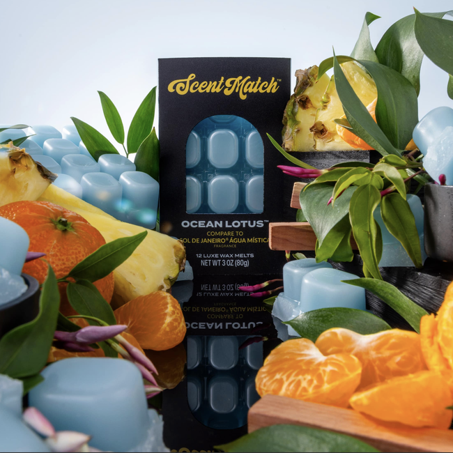 Screenshot 2026-02-20 at 5.01.32PM.png