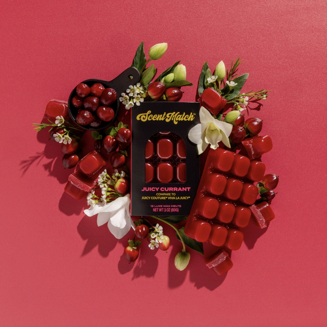 Screenshot 2026-02-20 at 4.16.00PM.png