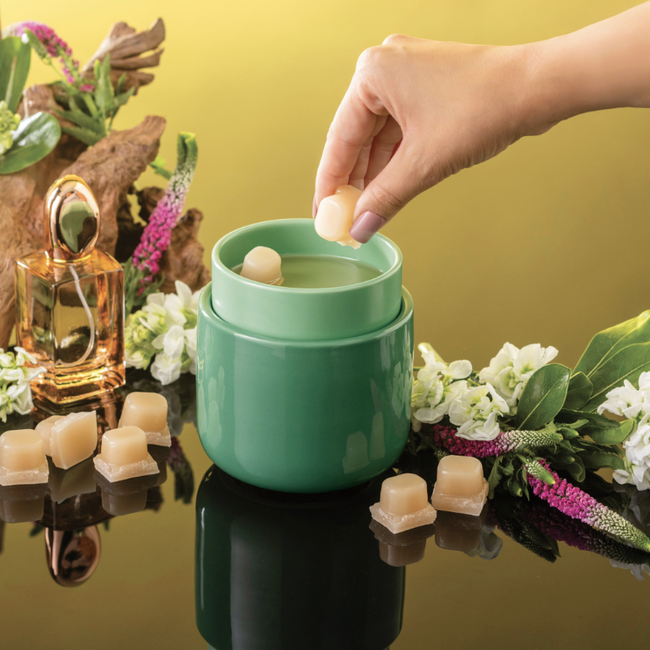 Screenshot 2026-02-20 at 5.18.43PM.png