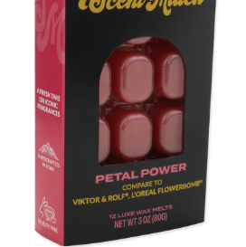 Screenshot 2026-02-20 at 4.20.10PM.png