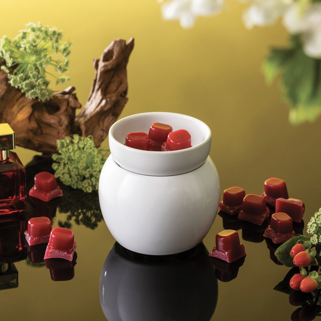 Screenshot 2026-02-20 at 5.22.38PM.png