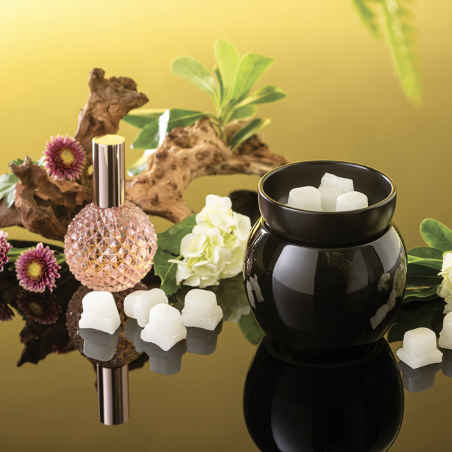 Screenshot 2026-02-20 at 5.20.48PM.png