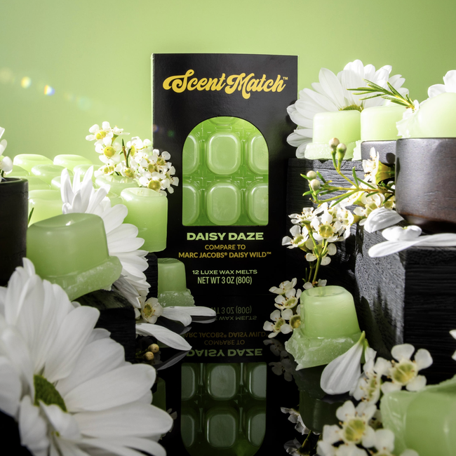 Screenshot 2026-02-20 at 4.58.57PM.png