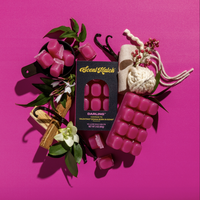 Screenshot 2026-02-20 at 4.22.25PM.png