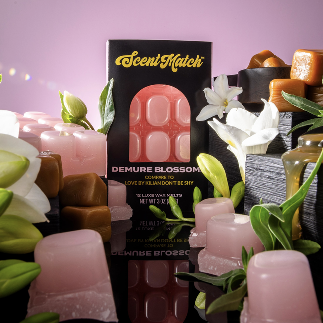 Screenshot 2026-02-20 at 4.27.10PM.png