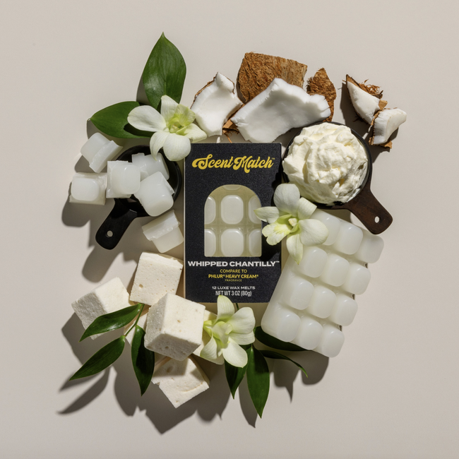 Screenshot 2026-02-20 at 4.42.40PM.png