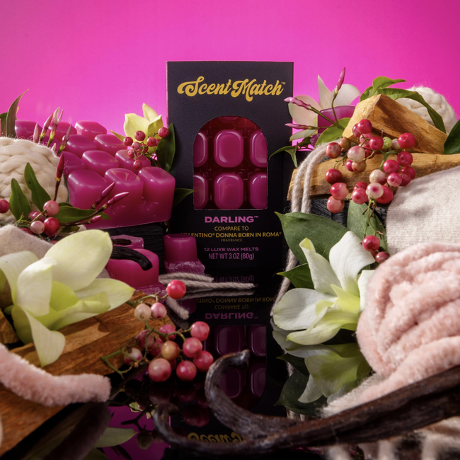 Screenshot 2026-02-20 at 4.22.45PM.png