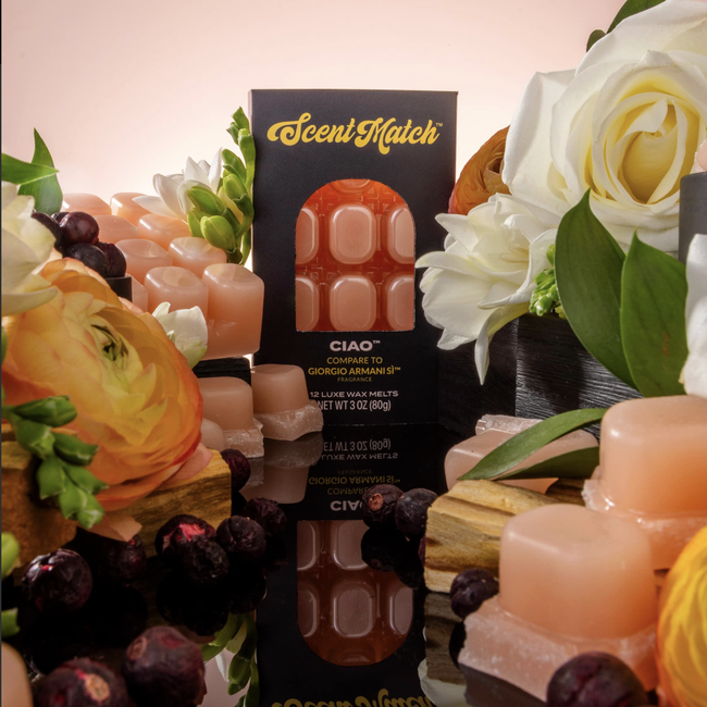 Screenshot 2026-02-20 at 4.30.07PM.png