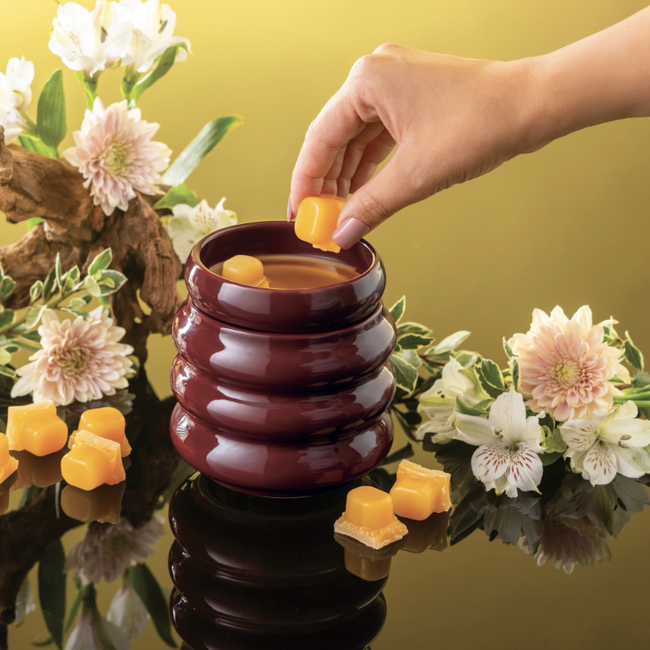 Screenshot 2026-02-20 at 5.17.26PM.png