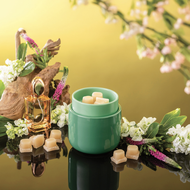 Screenshot 2026-02-20 at 5.18.59PM.png