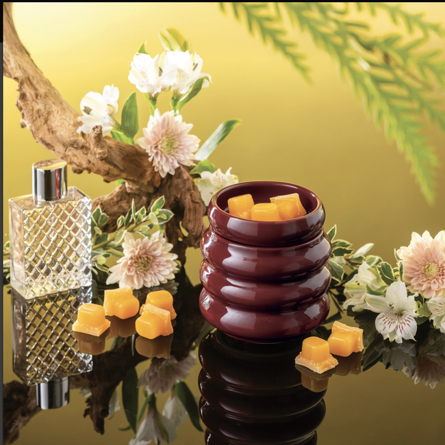 Screenshot 2026-02-20 at 5.17.46PM.png