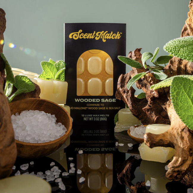 Screenshot 2026-02-20 at 4.38.39PM.png