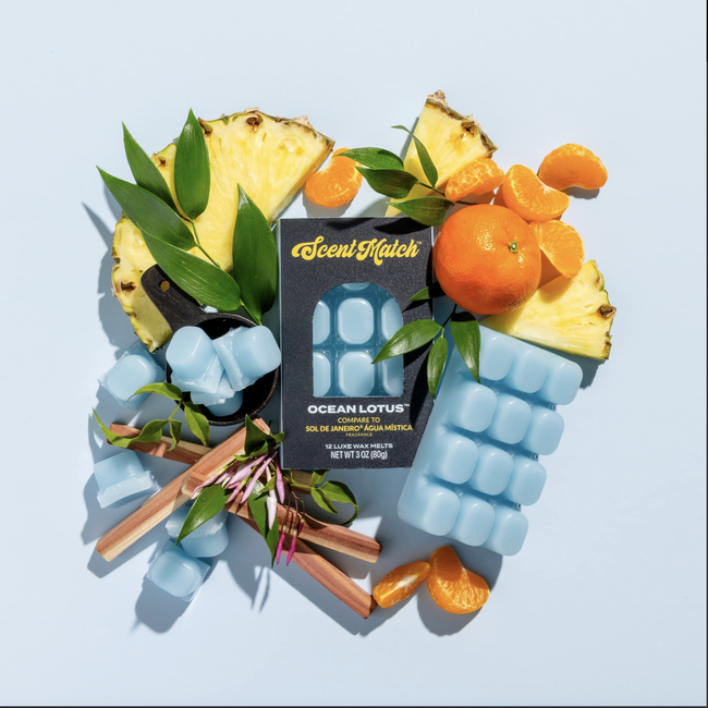 Screenshot 2026-02-20 at 5.01.14PM.png