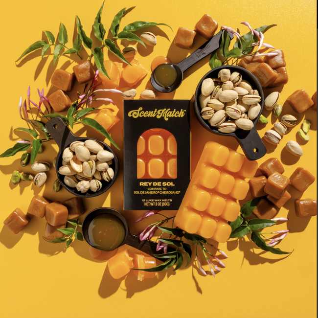 Screenshot 2026-02-20 at 4.33.28PM.png