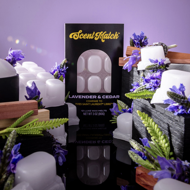 Screenshot 2026-02-20 at 5.09.58PM.png