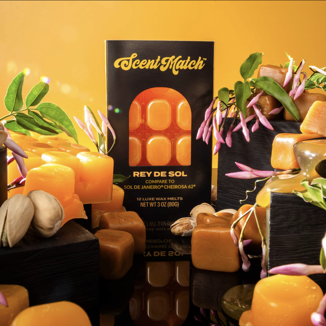 Screenshot 2026-02-20 at 4.33.45PM.png