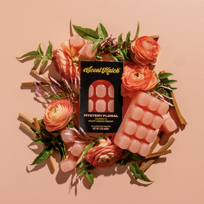 Screenshot 2026-02-20 at 4.31.37PM.png