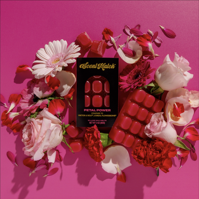 Screenshot 2026-02-20 at 4.21.25PM.png