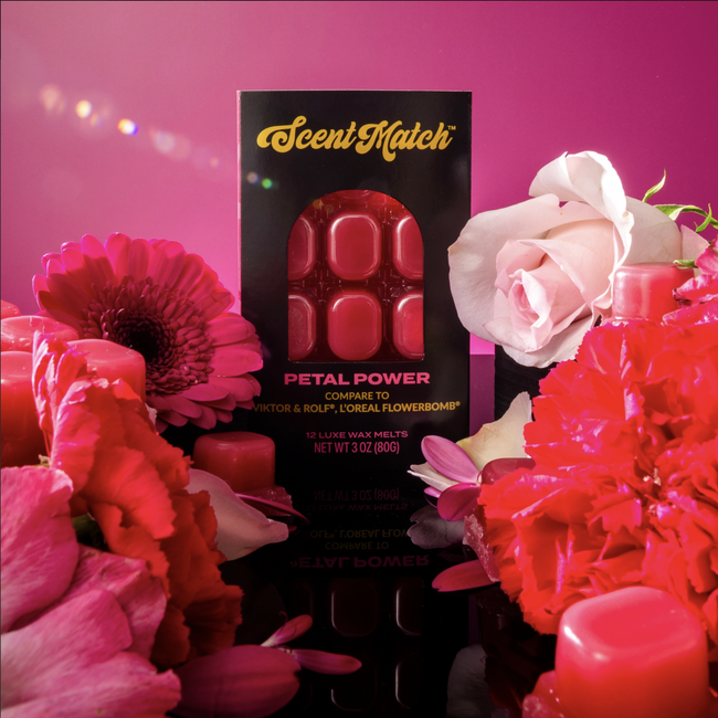 Screenshot 2026-02-20 at 4.21.44PM.png