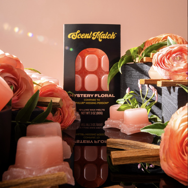 Screenshot 2026-02-20 at 4.31.55PM.png