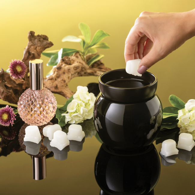 Screenshot 2026-02-20 at 5.20.33PM.png