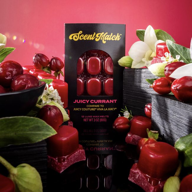 Screenshot 2026-02-20 at 4.16.19PM.png