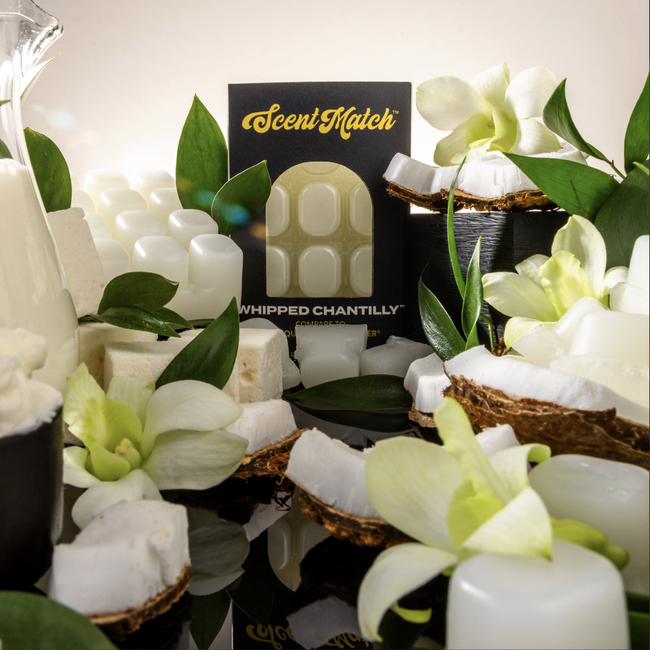 Screenshot 2026-02-20 at 4.42.57PM.png