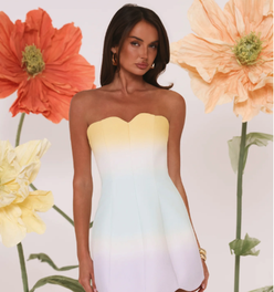 Dewdrop Dreams Strapless Mini Dress Ombre