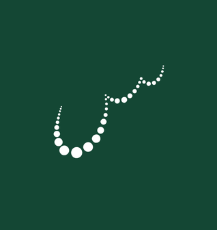 Seenaya