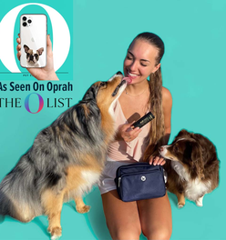 The Puppington - The It Bag for Dog Parents