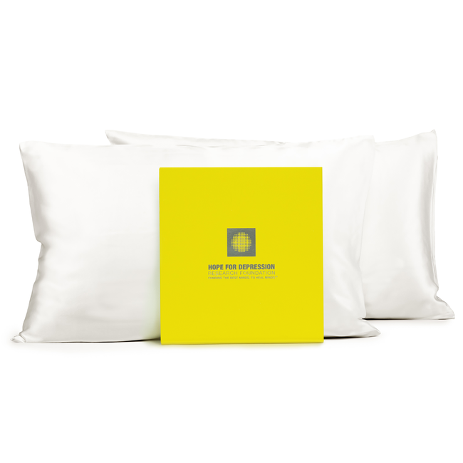 Silk Pillowcase 815 Set of Two with Box HDRF.jpg