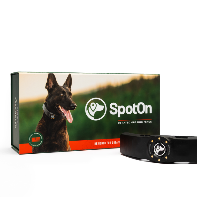 Snoopy_2025.09.10-4 (1) (4).jpg