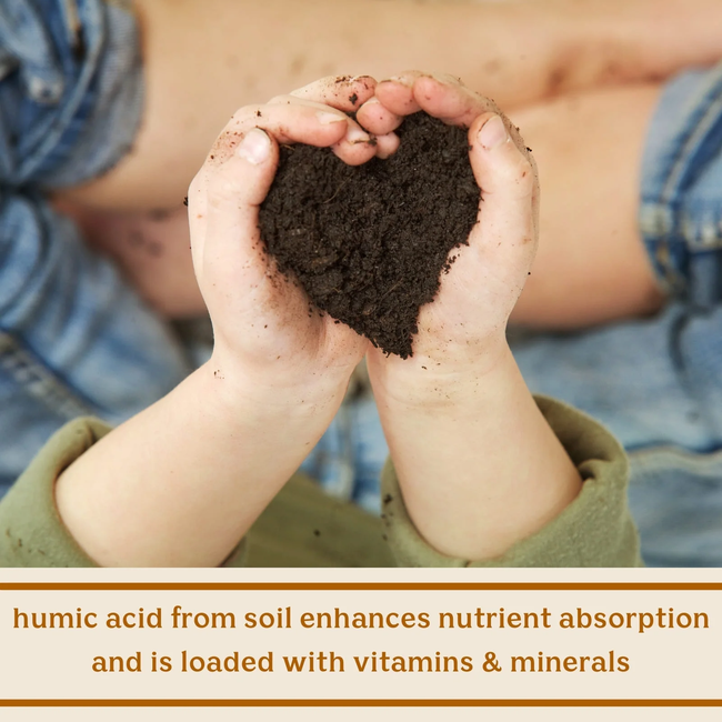 Solluna-by-Kimberly-Snyder-Infographic-Feel-Good-Sbo-Probiotics-humic-acid.webp