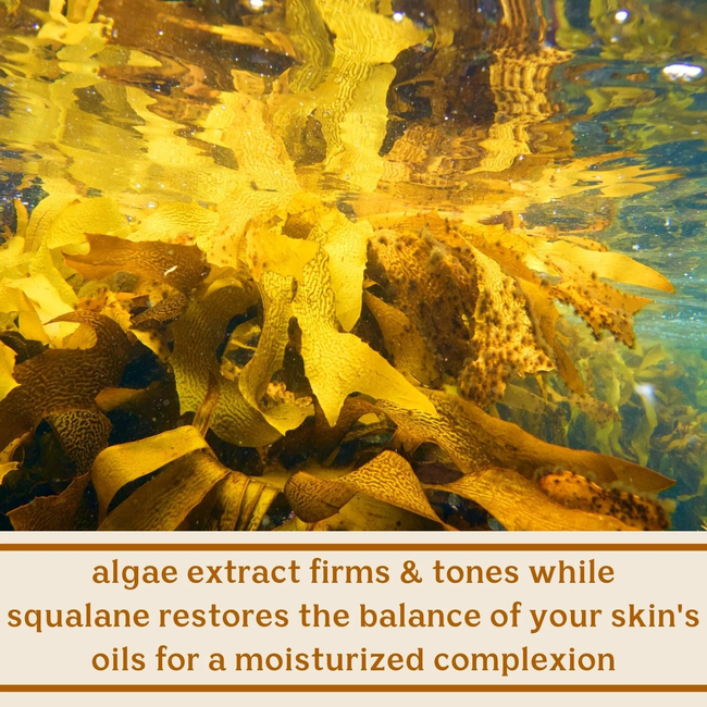 Solluna-by-Kimberly-Snyder-Infographic-Feel-Good-Moisturizer-algae-extract-172449.webp