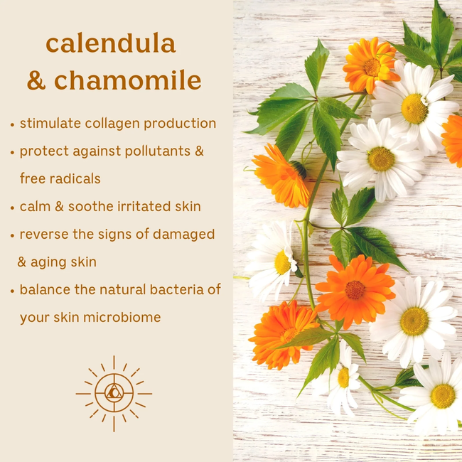 Solluna-by-Kimberly-Snyder-Infographic-Feel-Good-Vitamin-C-Serum-calendula-and-chamomile.webp