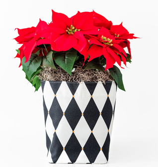 Small Limited-Edition Harlequin So.CachePot Planter Cover