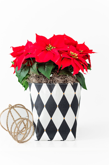 Medium Limited-Edition Harlequin So.CachePot Planter Cover
